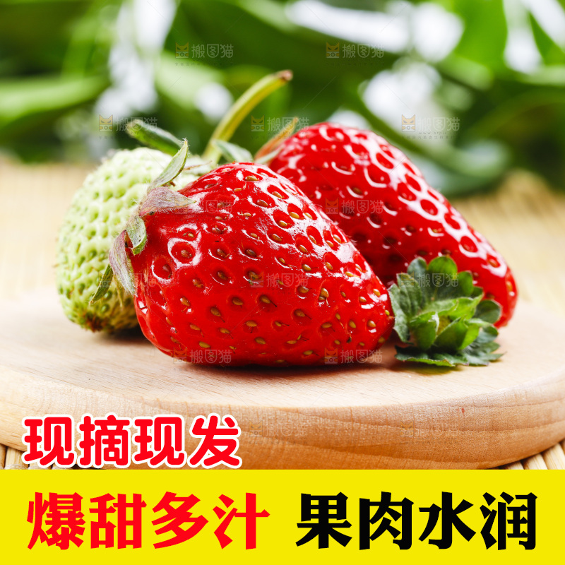 99草莓放在浅底上