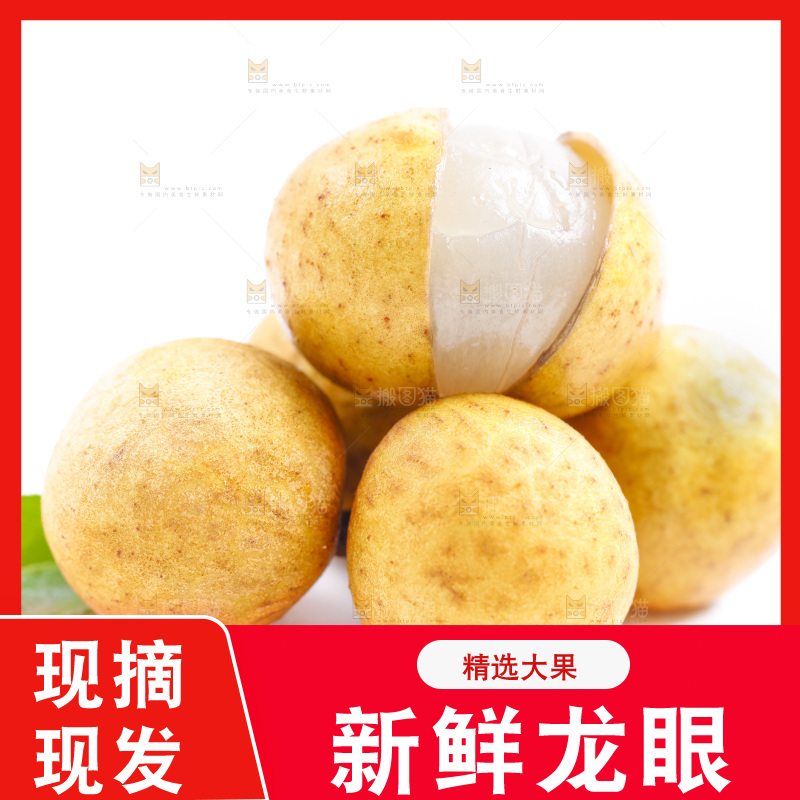 新鲜龙眼放在白底上