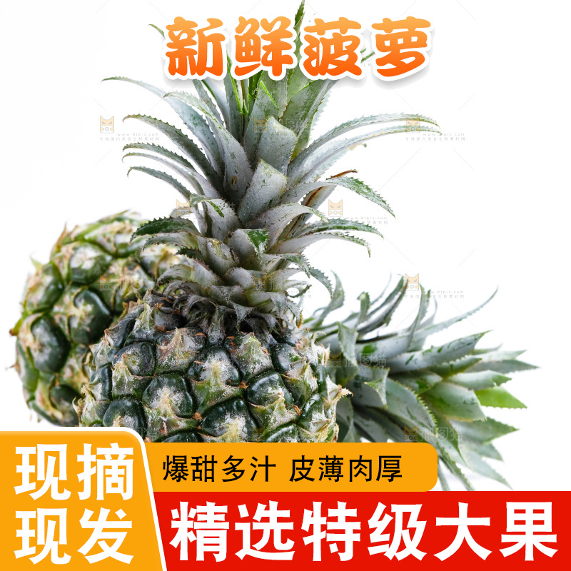 白底上的菠萝