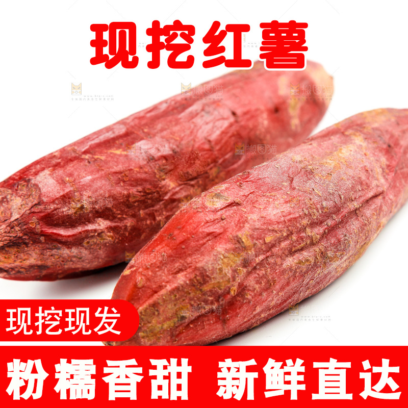 白底上的红薯