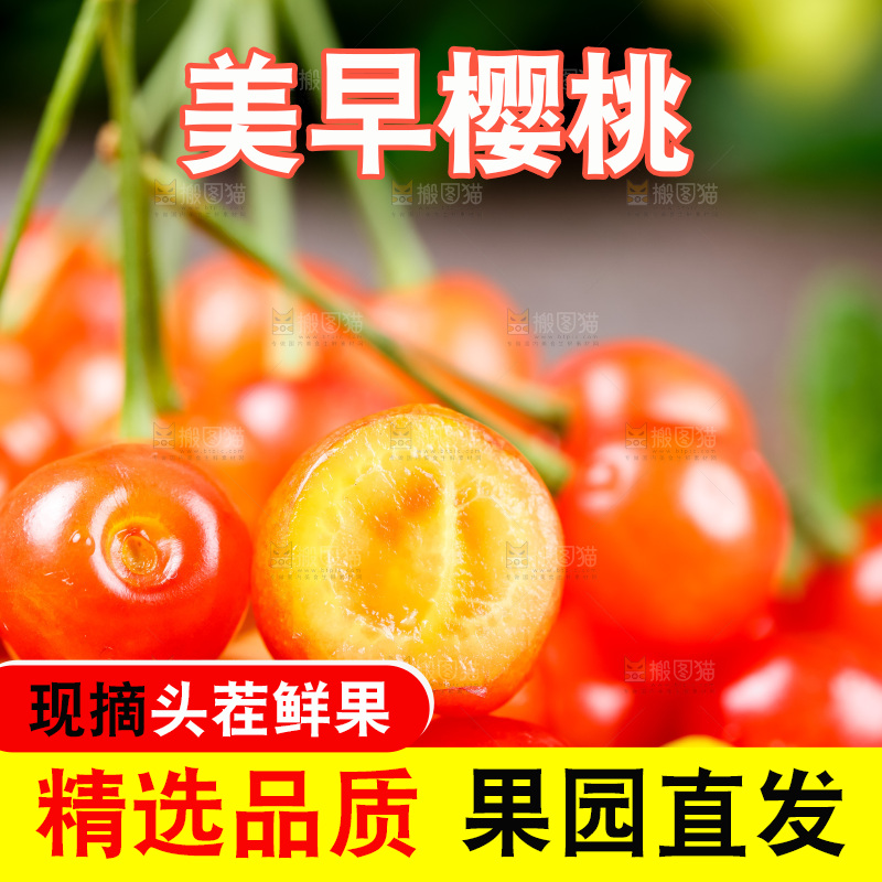 木底上放着烟台水晶黄樱桃