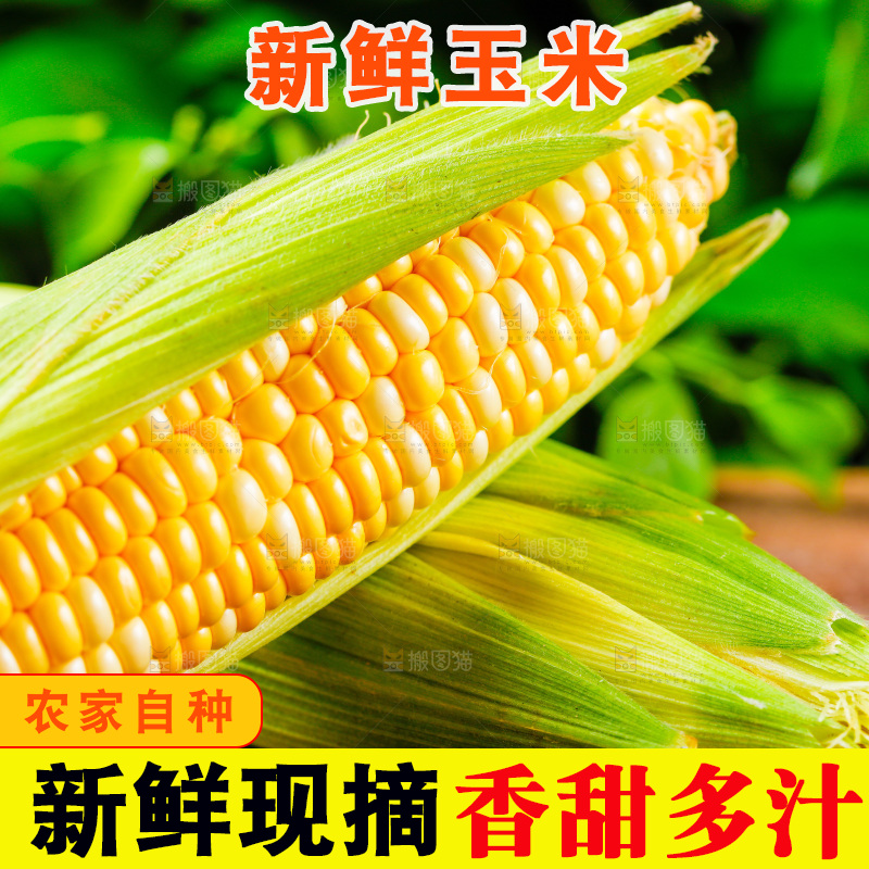 木底上的新鲜玉米