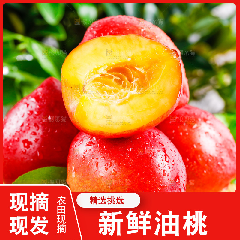 浅底上的油桃