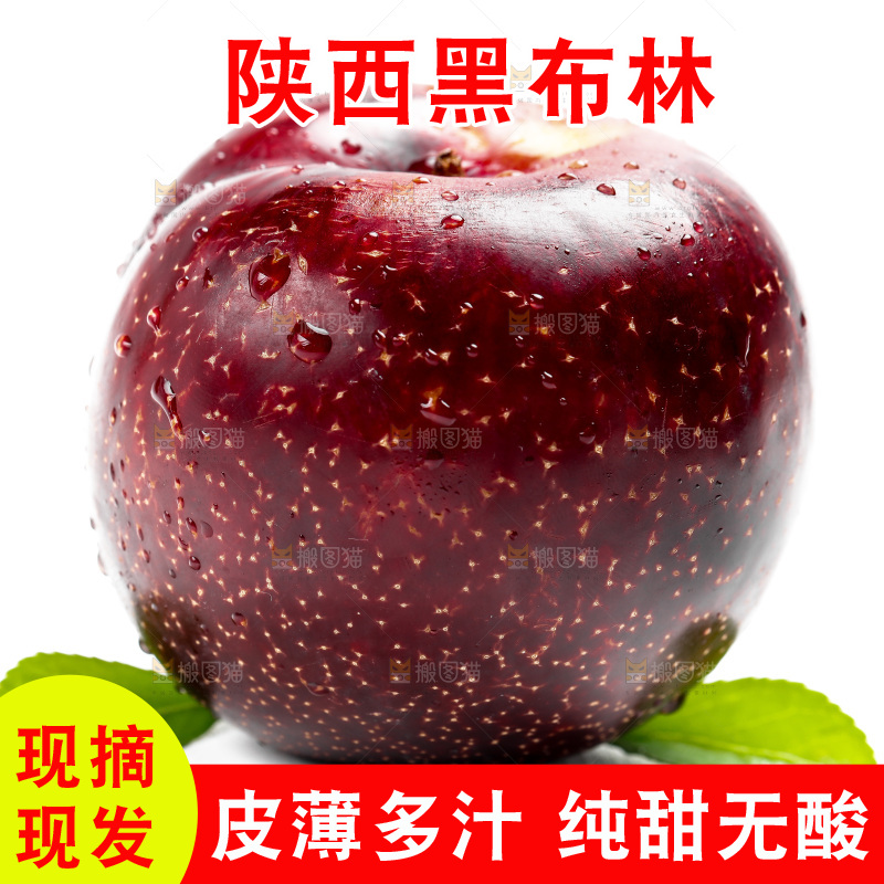 白底上的黑布林