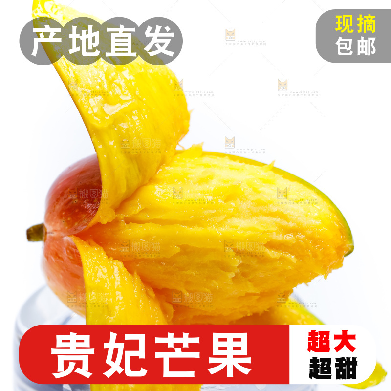 新鲜贵妃芒放在白底上