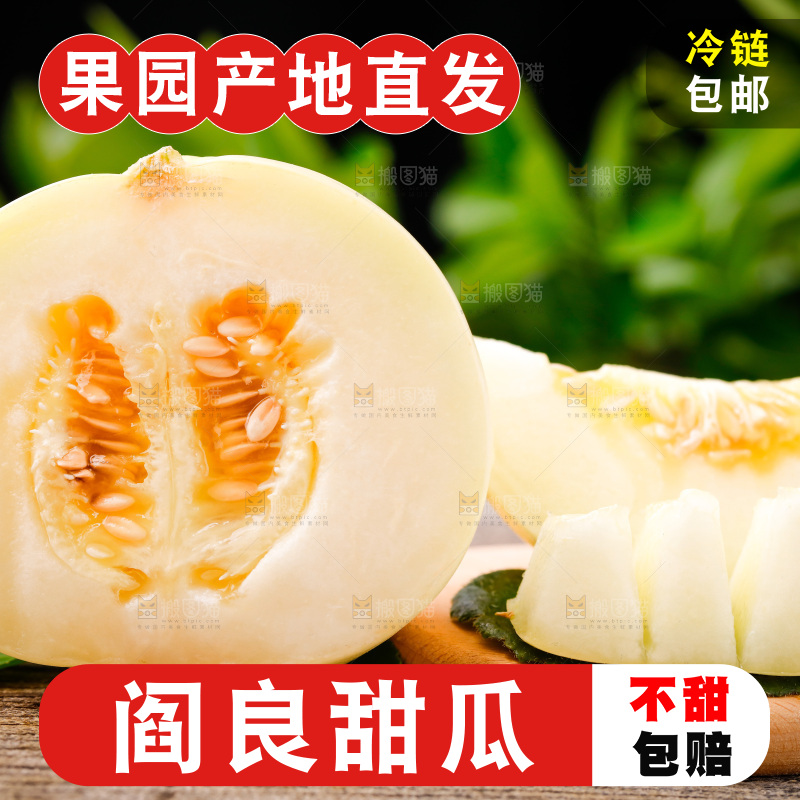 木底上的阎良甜瓜