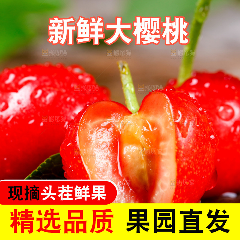 新鲜樱桃放在木底上