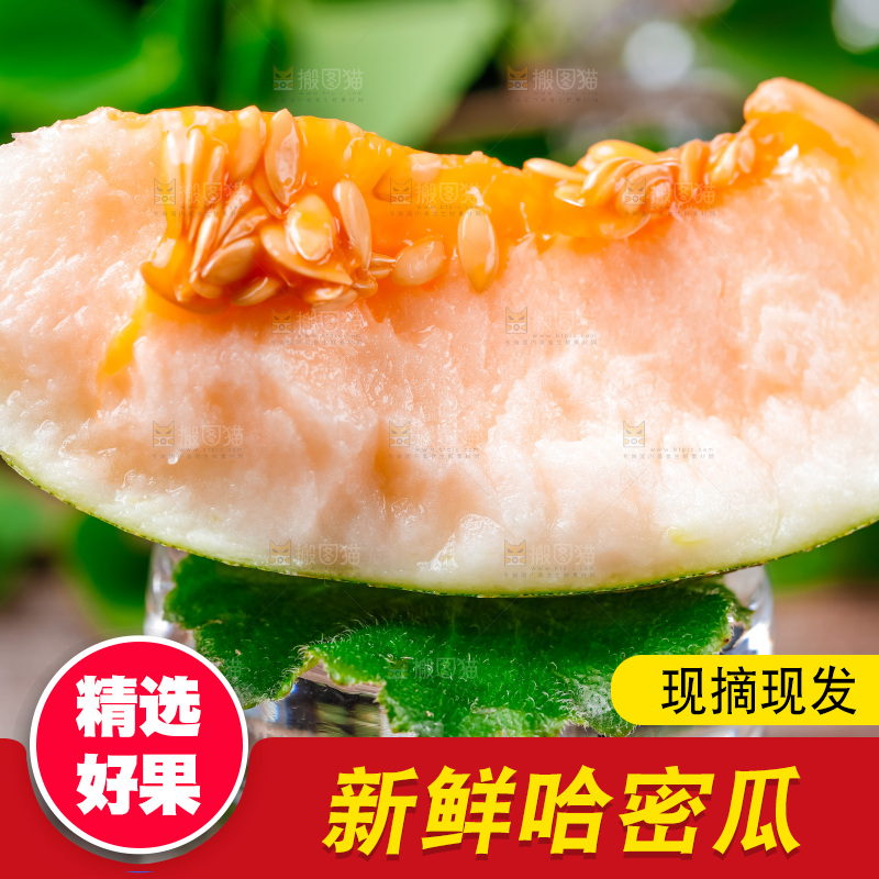 新鲜哈密瓜放在浅底上