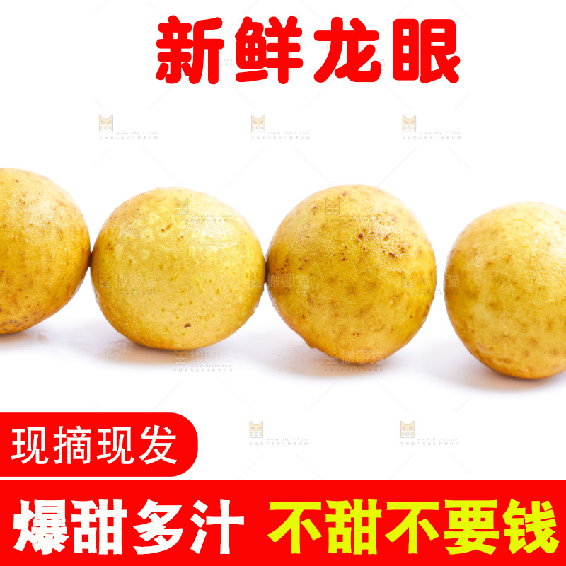 白底上的龙眼