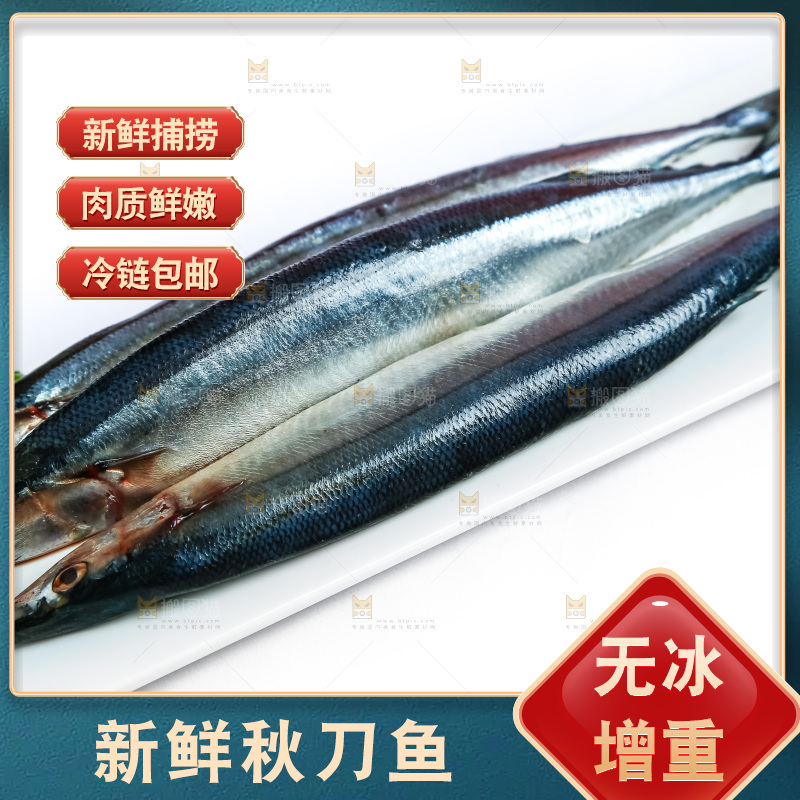 白底上放着一盘秋刀鱼