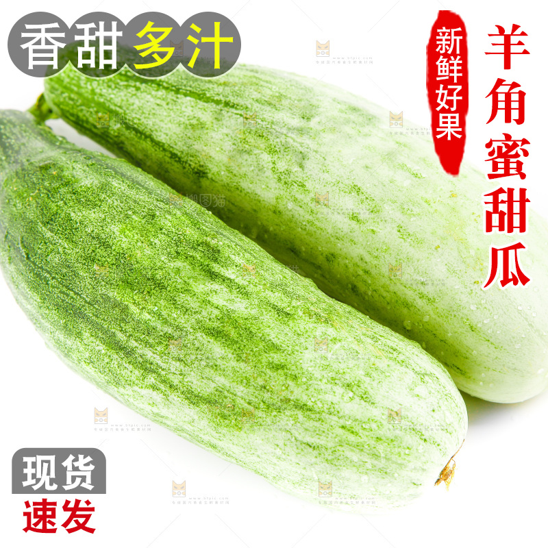 白底上的山东羊角蜜甜瓜