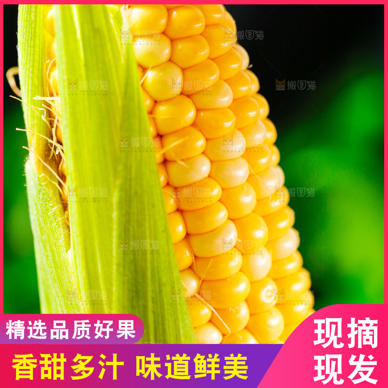 木底上的新鲜玉米