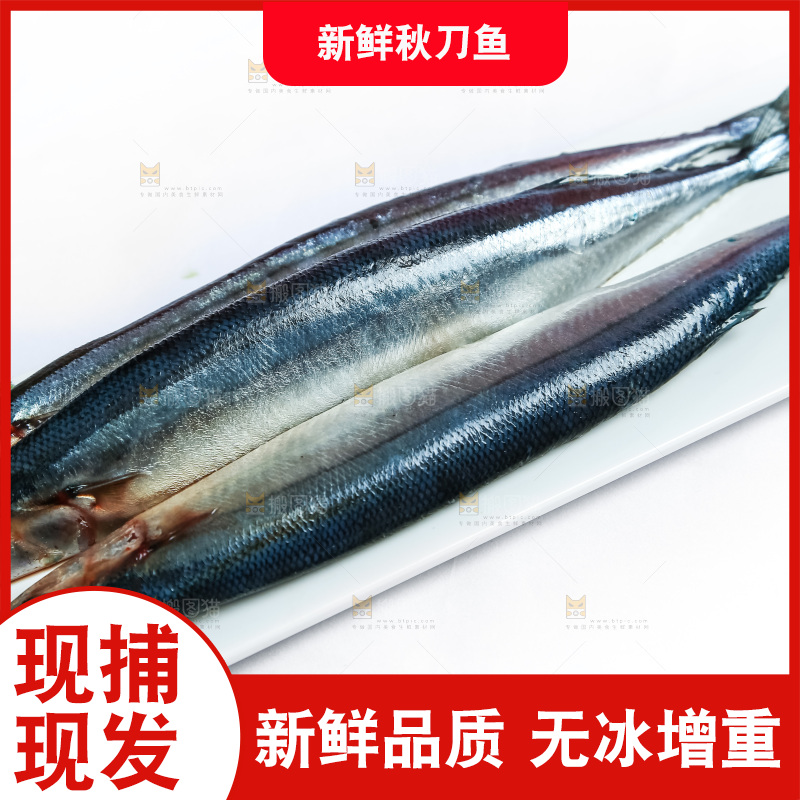 白底上放着一盘秋刀鱼