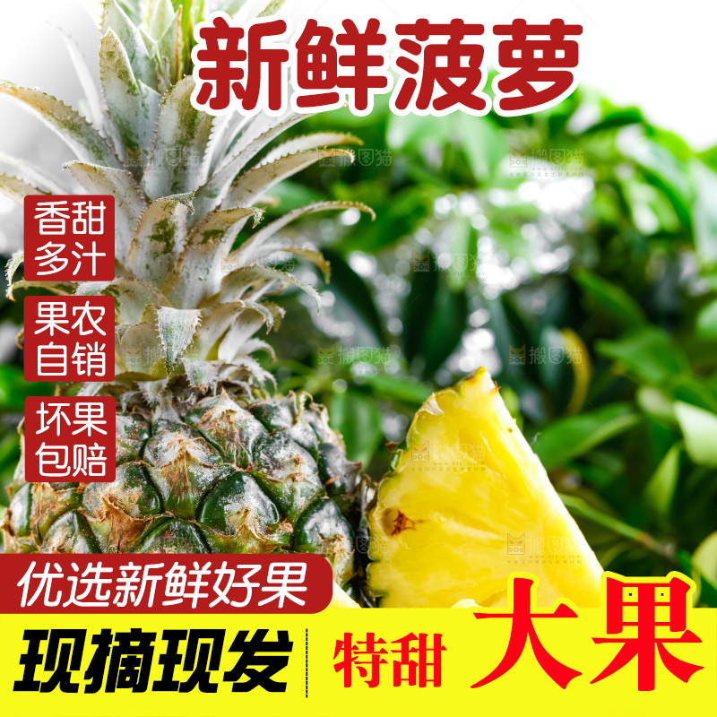 云南香水小菠萝放在白底上