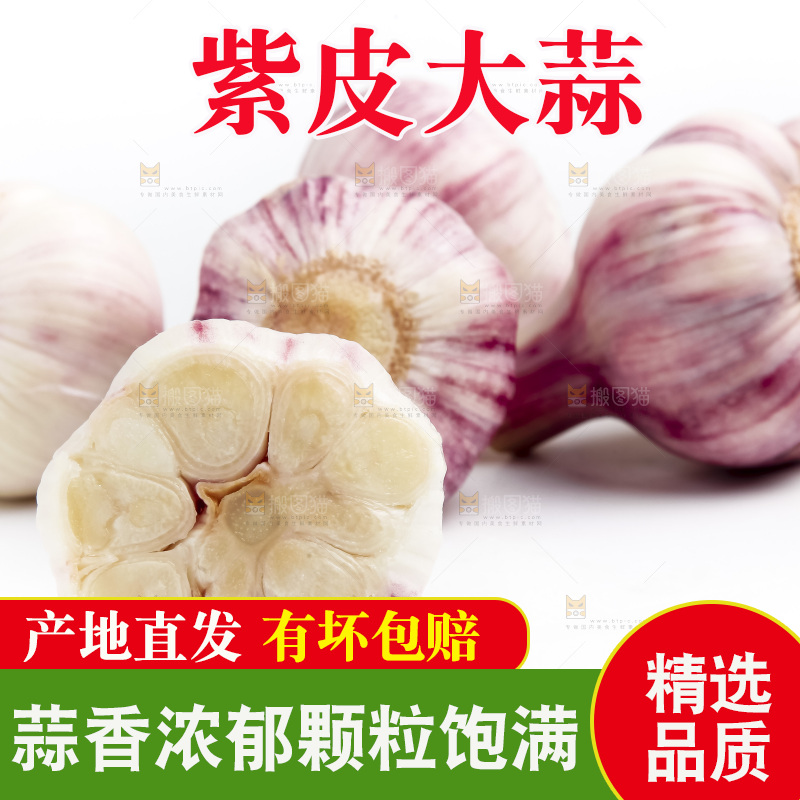 白底上放着多瓣蒜
