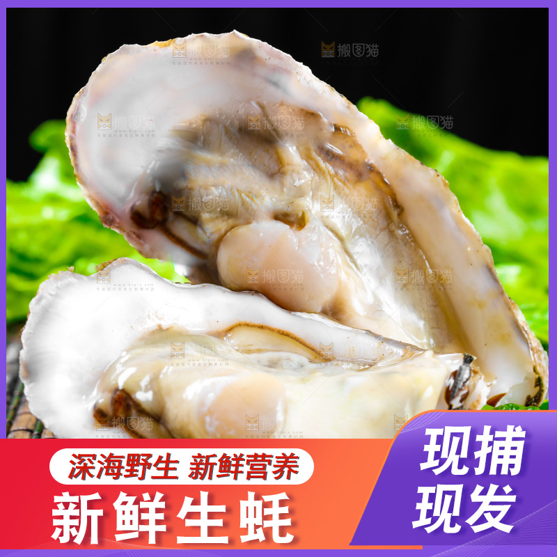 木底上放着生蚝