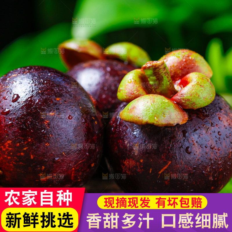深底上的山竹