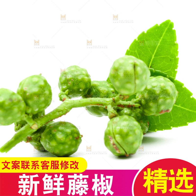 白底上的青花椒