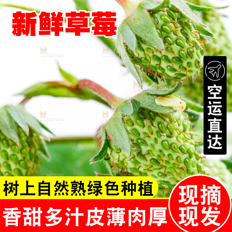 白底上的新鲜草莓