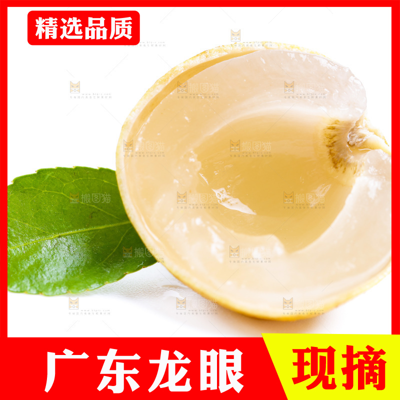新鲜龙眼放在白底上