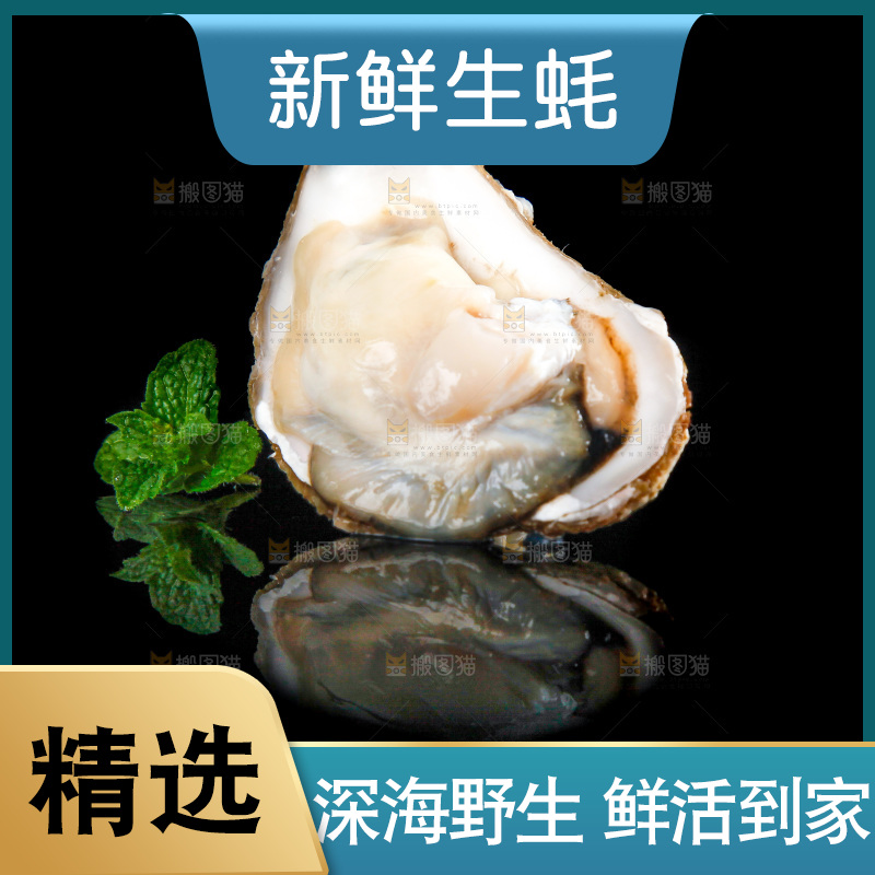 黑底上放着海蛎子