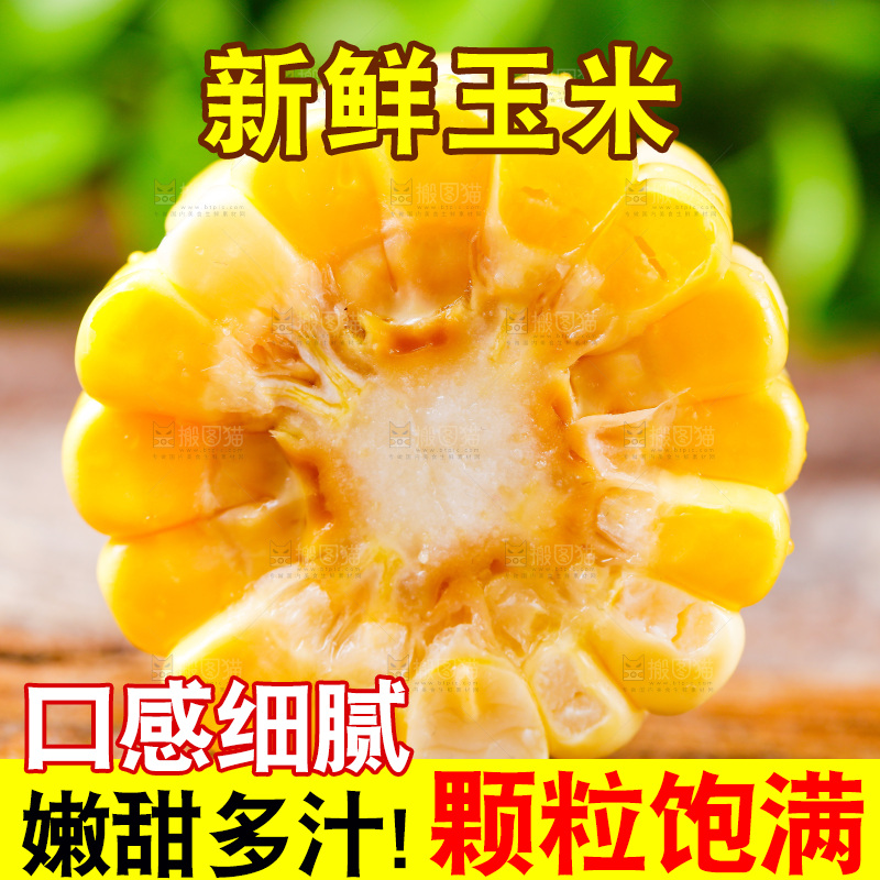 云南水果甜玉米放在木底上