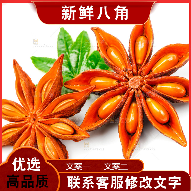 广西八角放在白底上
