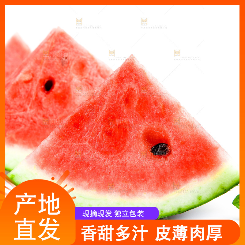 白底上放着8424麒麟瓜