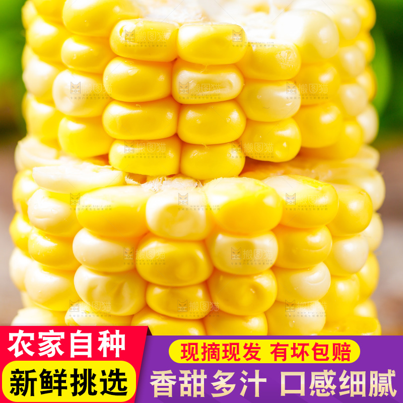 云南水果甜玉米放在木底上