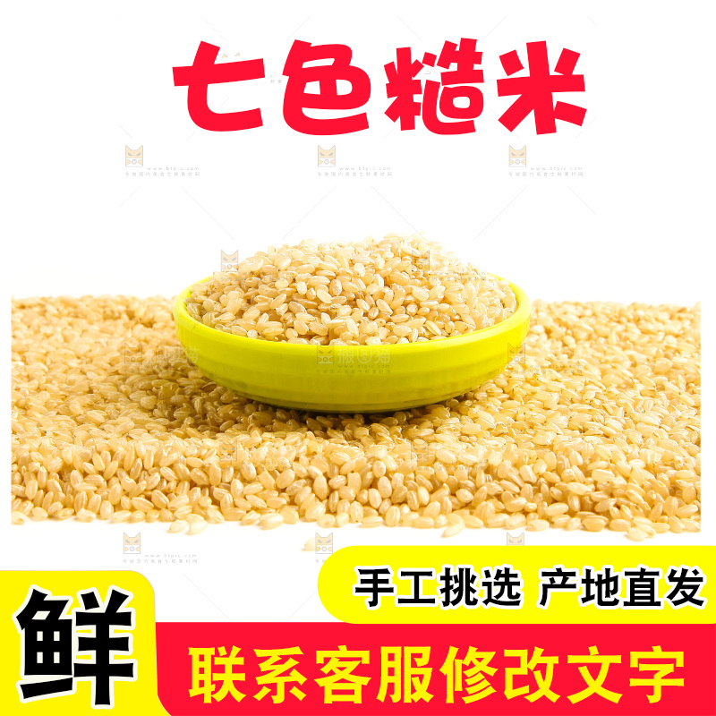 东北糙米放在白底上