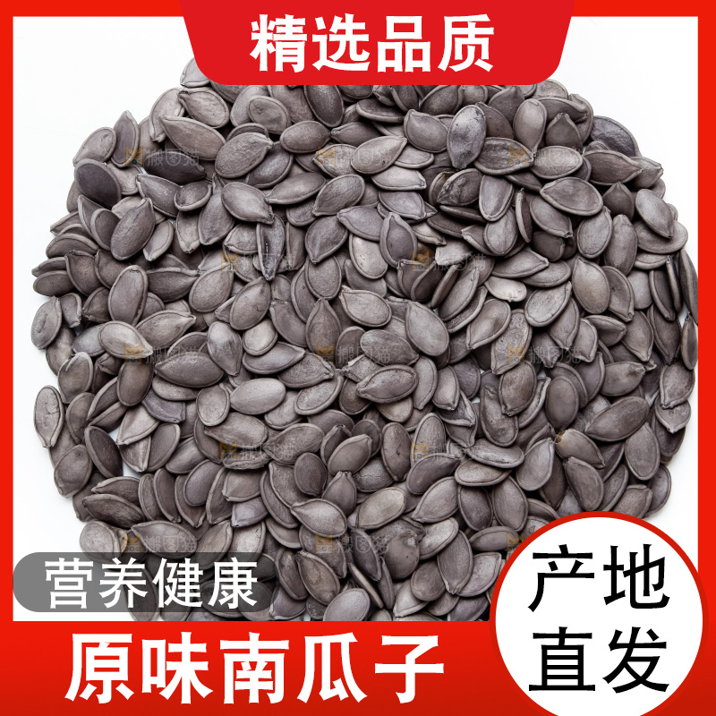 黑南瓜子放在白底上