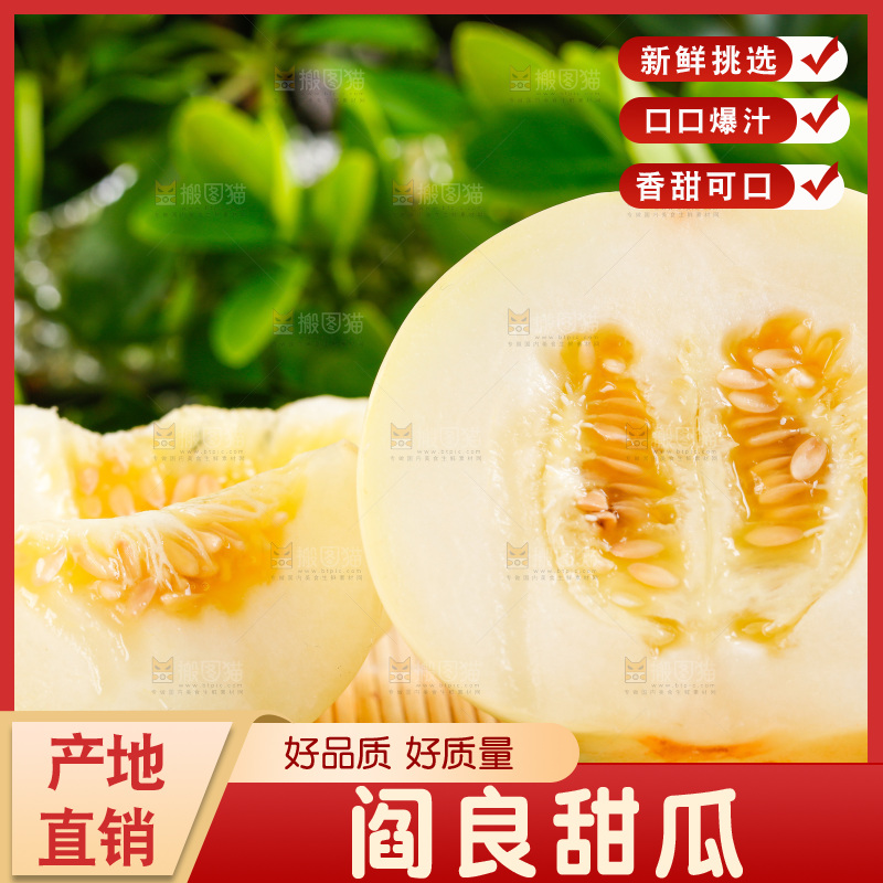 浅底上的新鲜甜瓜