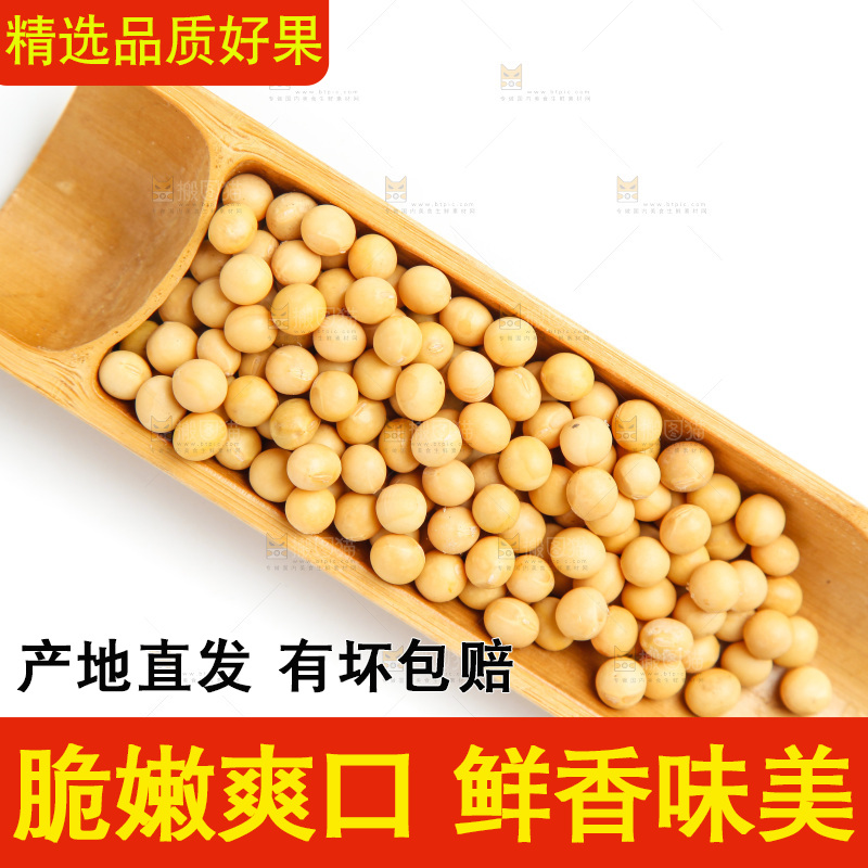 白底上的新鲜黄豆