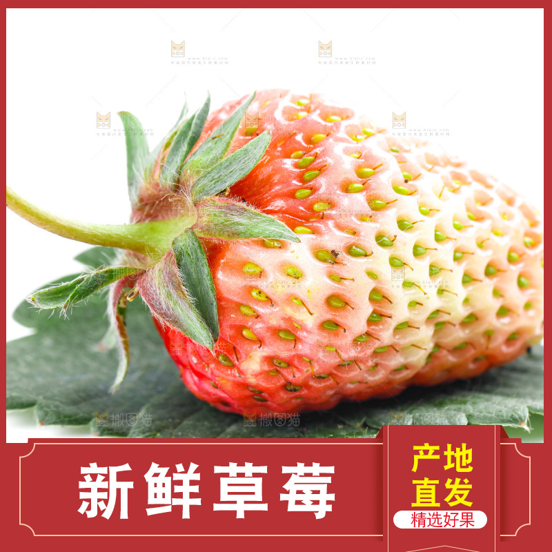 白底上的新鲜草莓