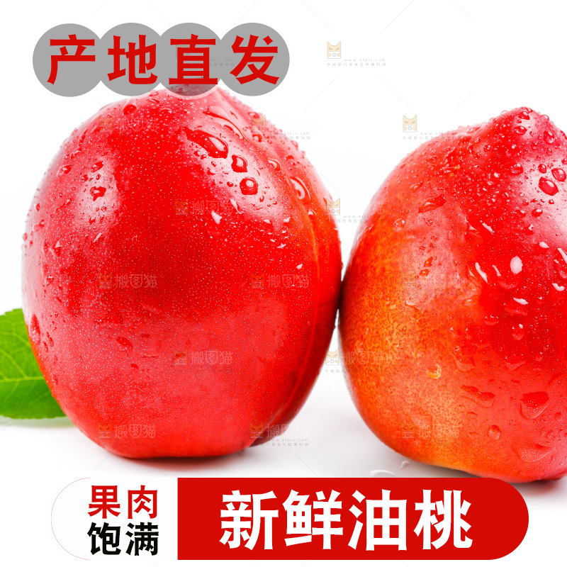 白底上的油桃