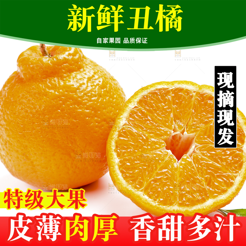 切开的四川丑橘放在白底上