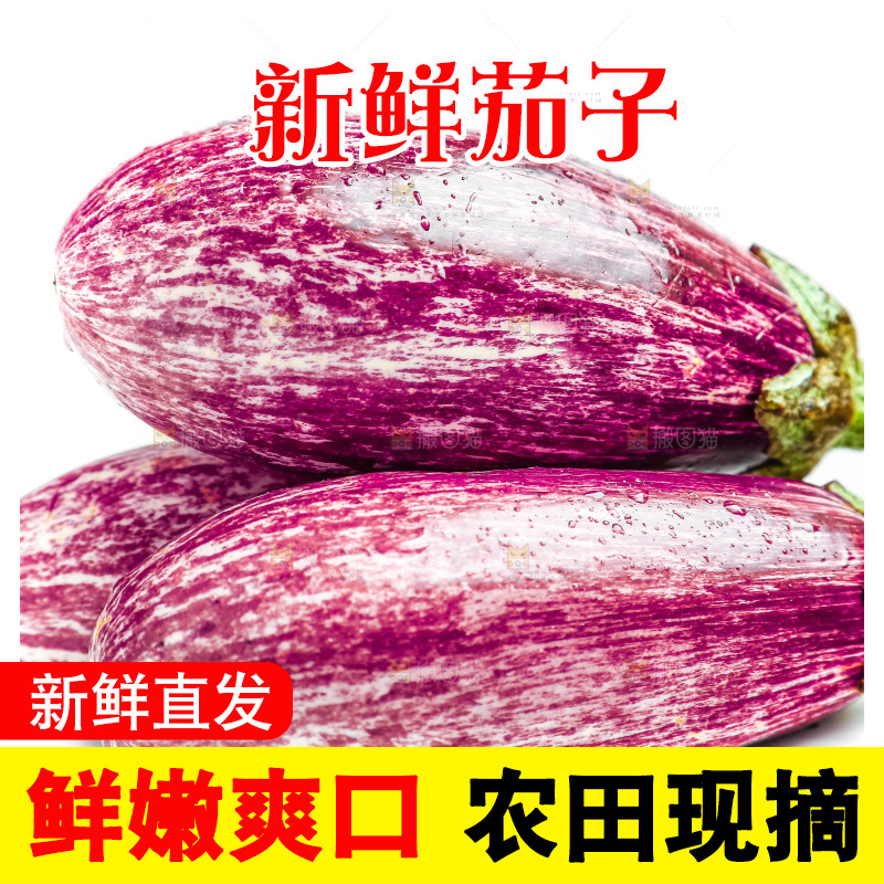 新鲜茄子放在白底上