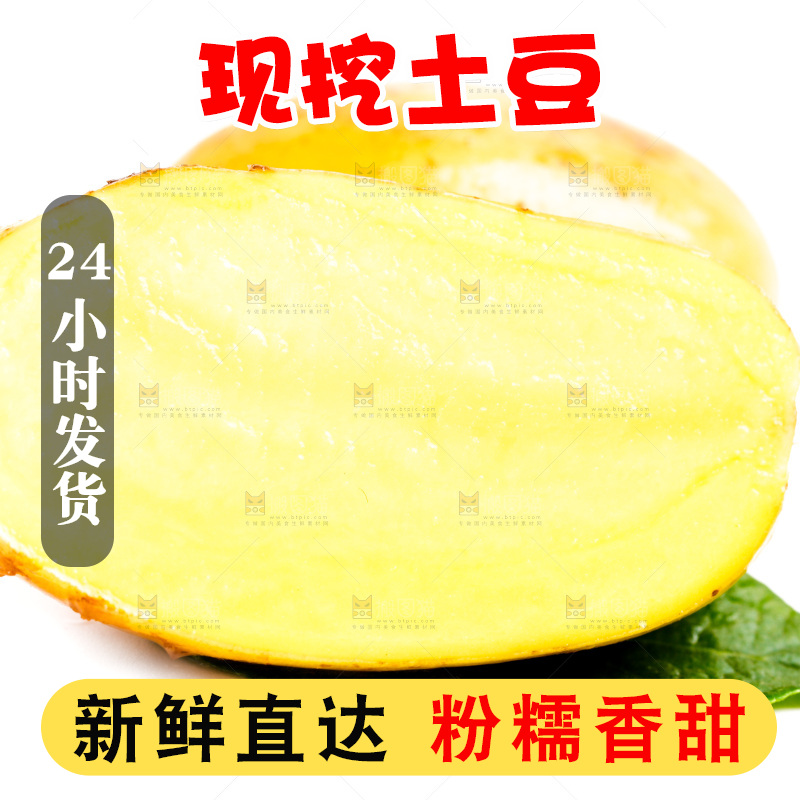 黄心土豆放在白底上