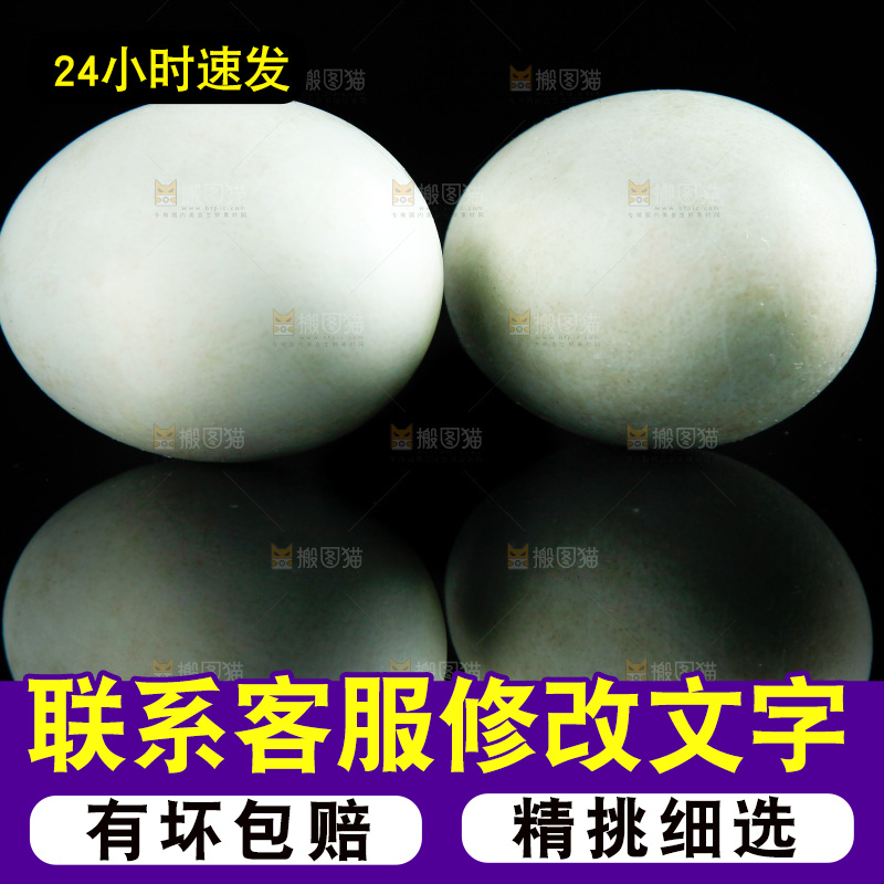 黑底上的咸鸭蛋