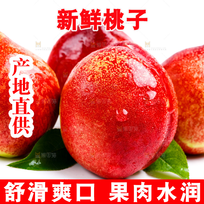 新鲜油桃放在白底上