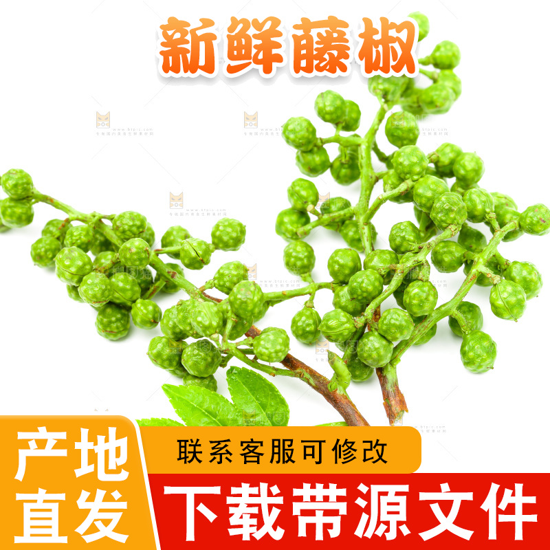 白底上的青花椒