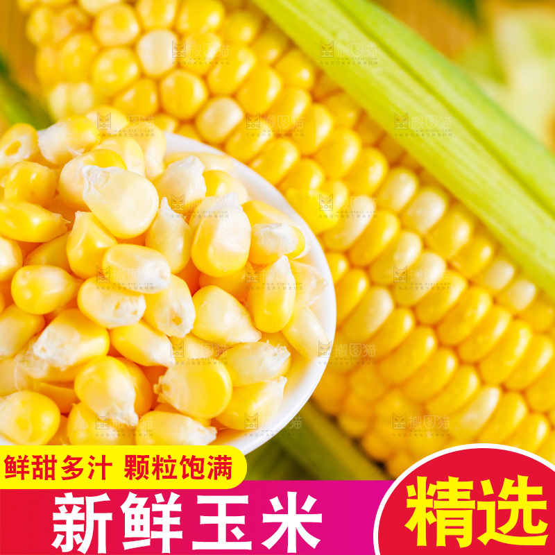 浅底上的水果玉米
