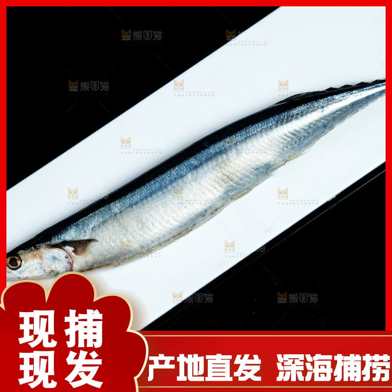 黑底上放着一盘秋刀鱼