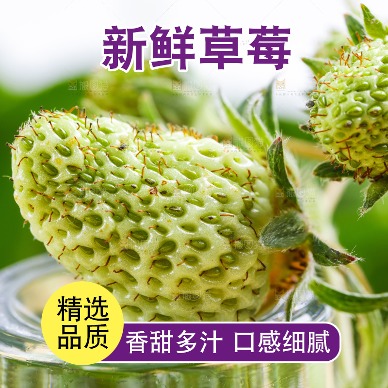 浅底上放着新鲜草莓