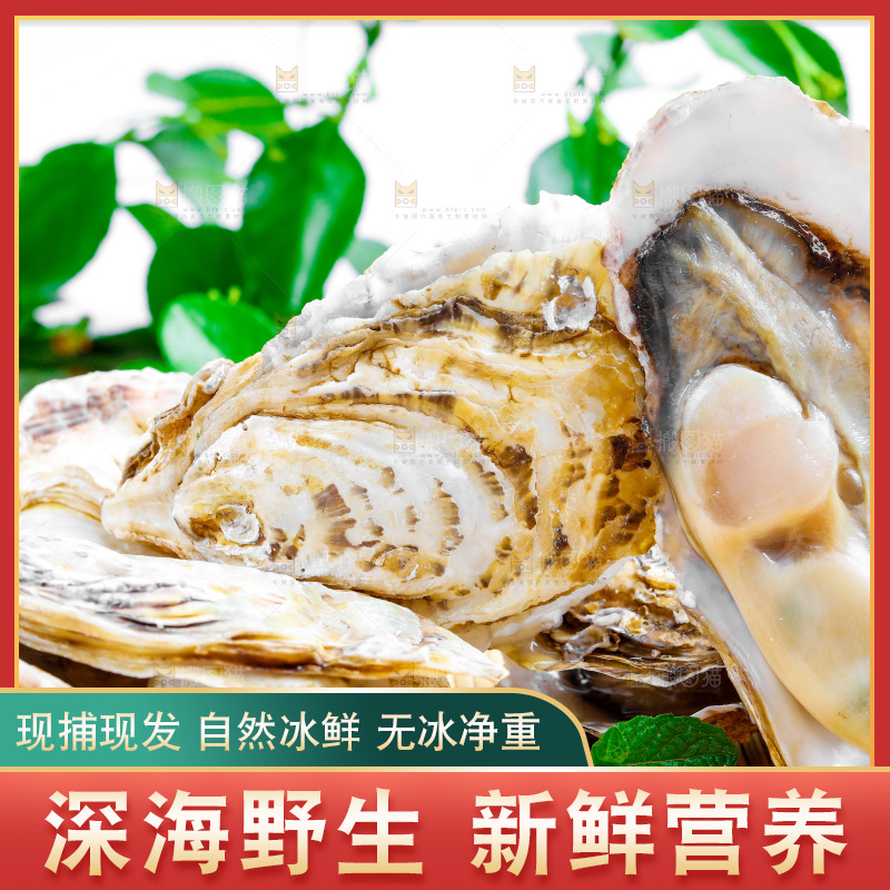 木底上放着海蛎子