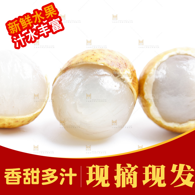 白底上的龙眼
