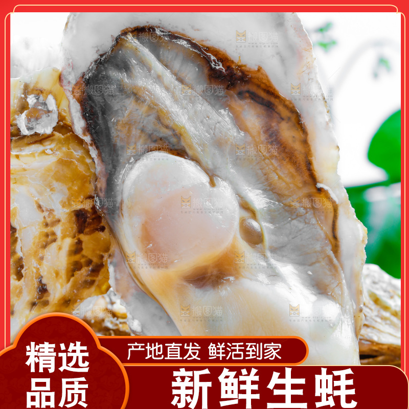 木底上放着海蛎子