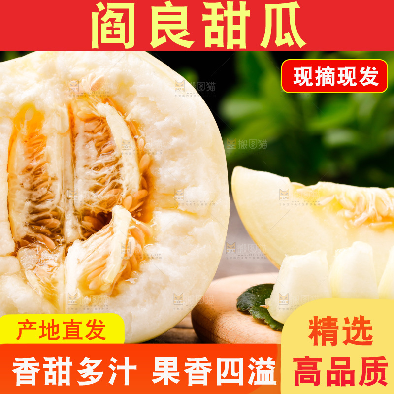 木底上的阎良甜瓜