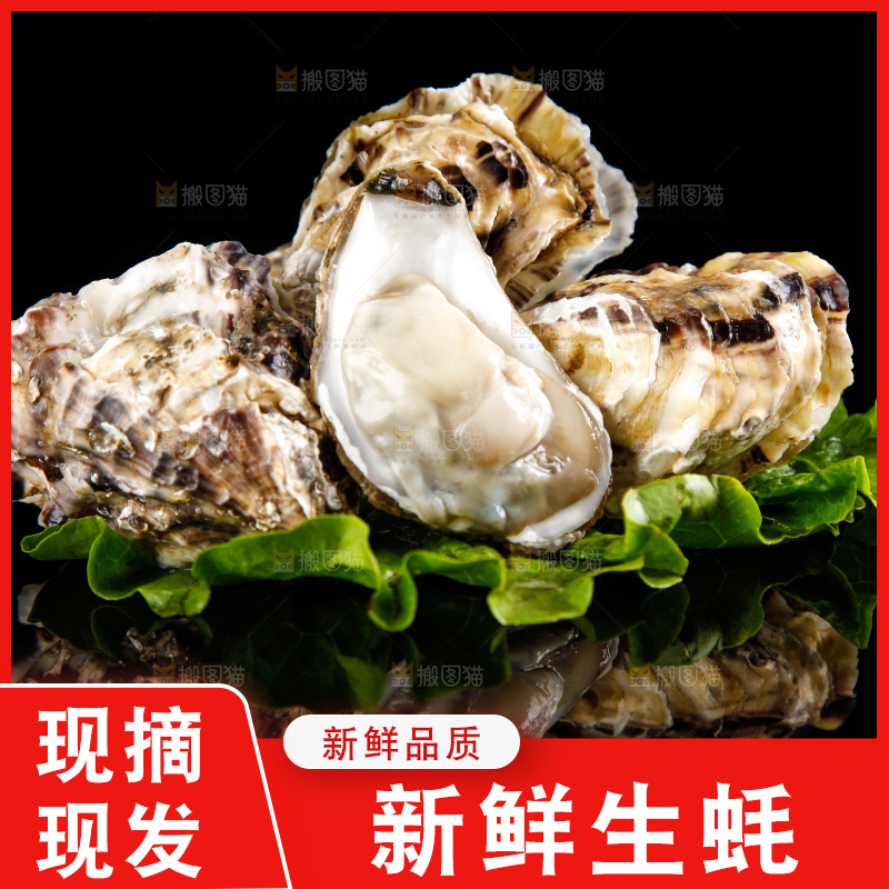 黑底上放着生蚝