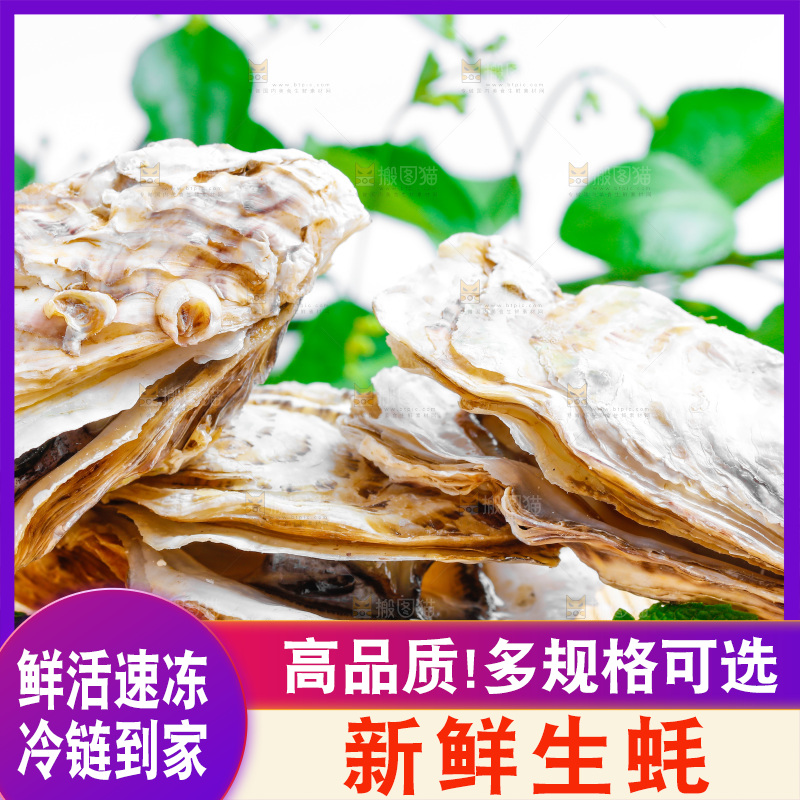 木底上放着乳山生蚝
